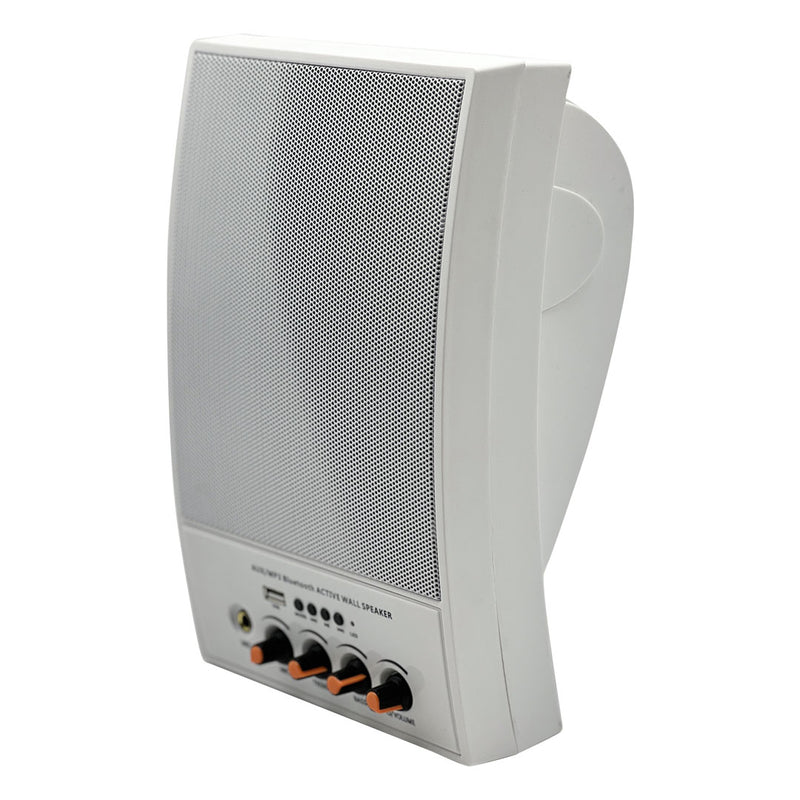 Alhaan BWS-20WA 20W Active Bluetooth Single Speaker