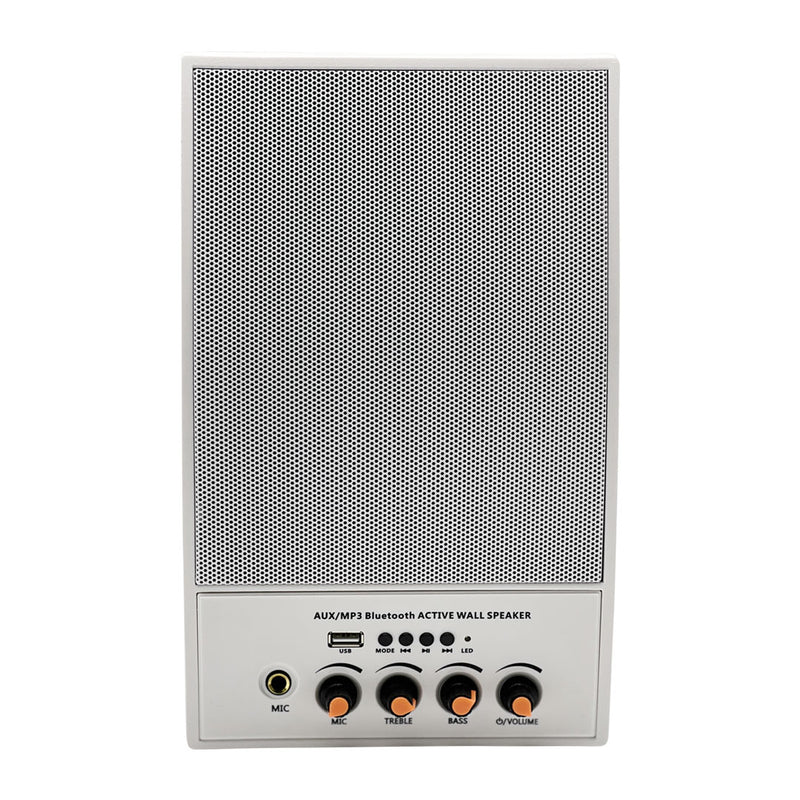 Alhaan BWS-20WA 20W Active Bluetooth Single Speaker
