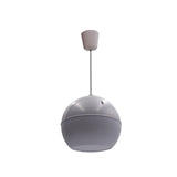 Alhaan PS-10W 5 inch 10W Pendant Speaker