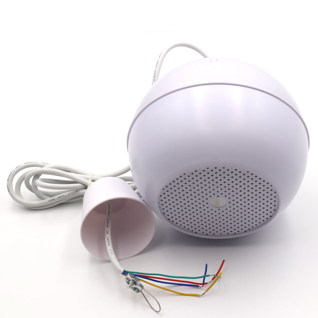 Alhaan PS-10W 5 inch 10W Pendant Speaker