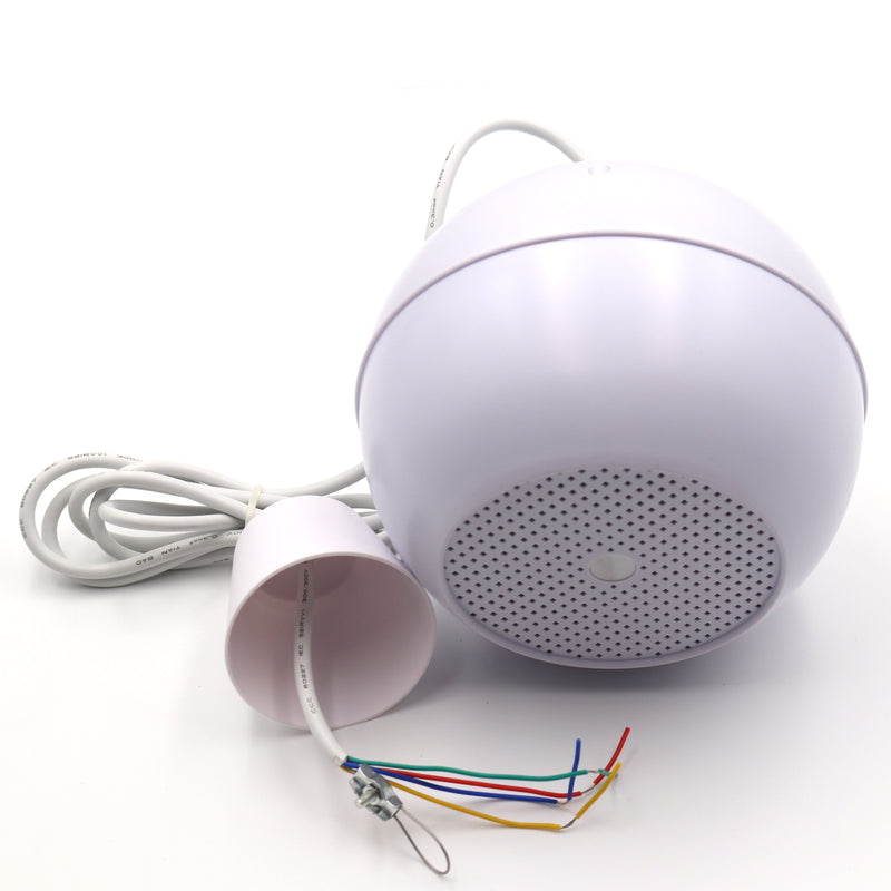 Alhaan PS-10W 5 inch 10W Pendant Speaker