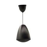 Alhaan PS-30B 30W Pendant Speaker Black